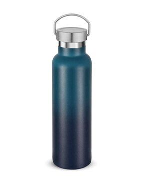Gradient Stainless Steel Water Bottles,20 Ounce